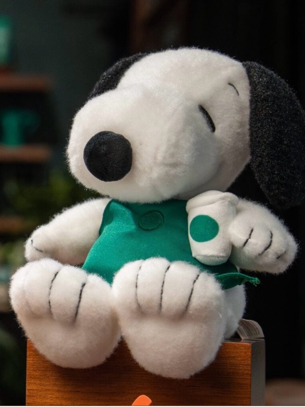 Starbucks Snoopy Plush with Green Scarf - Peanuts Collectible